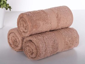 XPOSE® Froté uterák VERONA 3 ks - hnedý 30x50 cm
