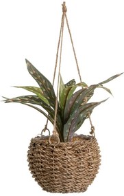 Umelá rastlina (výška 25 cm) – Casa Selección