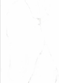Lotosan MARBLE White dlažba s lesklým povrchom, rektifikovaná 60 x 60 x 0,88 cm LC1000655 1,44 m2