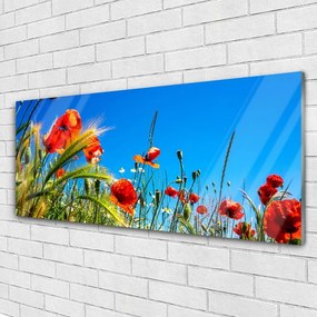 Obraz plexi Kvety maky pole trávy 125x50 cm