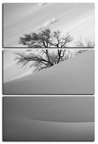Obraz na plátne - Červené piesočné duny - obdĺžnik 7133QB (120x80 cm)