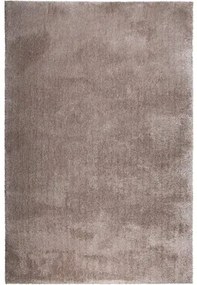 Dekoratívny koberec Shaggy Wellness 200 x 300 cm tmavosivý
