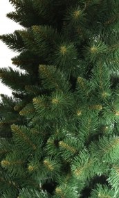 Vianočný stromček borovica himalájska 220 cm