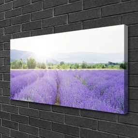 Obraz Canvas Pole levanduľa príroda lúka 120x60 cm