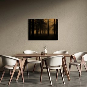 Sklenený obraz - Temný les (70x50 cm)