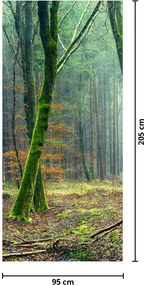 Fototapeta na dvere - Les (95x205cm)