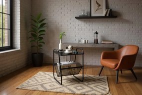 Moderný stolík s držiakom na časopisy 40 x 40 x 55 cm