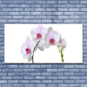 Obraz plexi Vstavač orchidea kvety 120x60 cm