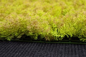 Umelý rastlinný panel KATE MOSS 50 x 50 cm - Panel 50x50 Europe Grass