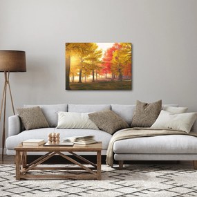 Obraz jesenných stromov (70x50 cm)