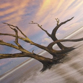 Obraz stromu v oceáne (150x105 cm)
