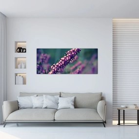 Obraz fialovej kvetiny (120x50 cm)