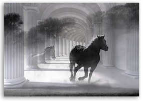 Obraz na plátně, Běh 3D koně - 60x40 cm