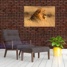 Obraz - Národný park Etosha (90x60 cm)