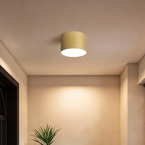BRILAGI - Kúpeľňové stropné svietidlo FORIS LED/9W/230V pr. 9 cm zlaté IP44