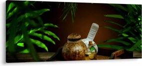 Obraz spa vecí (120x50 cm)