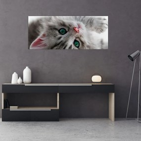 Obraz - Mačka so zelenými očami (120x50 cm)