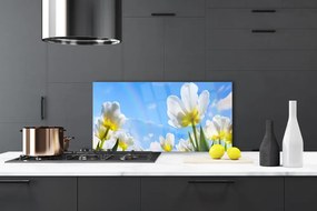 Sklenený obklad Do kuchyne Rastliny kvety tulipány 120x60 cm