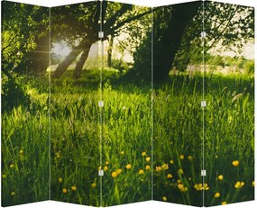 Paraván - Lúka (210x170 cm)