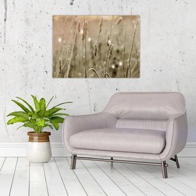 Sklenený obraz - Harmonická lúka (70x50 cm)