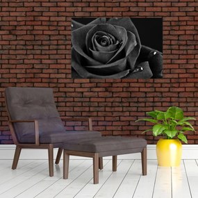 Obraz - Červená ruža (90x60 cm)