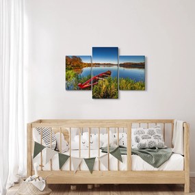 Obraz červené pramice (90x60 cm)