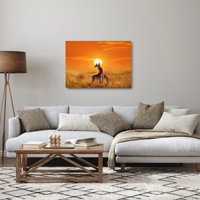 Sklenený obraz - Žirafy v národnom parku Serengeti (70x50 cm)