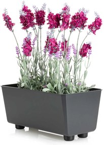 PLASTOVÝ KVETINÁČ SALVIA 28,5X17 CM ANTRACITOVÁ