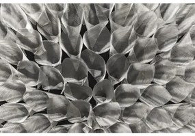 Rámovaný DEKO obraz 60x60 30496A