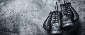 Obraz - Boxerské rukavice (120x50 cm)