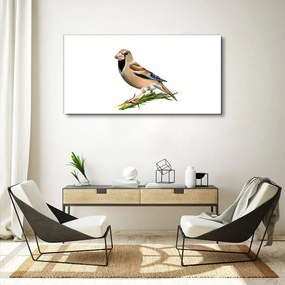 Obraz canvas vták