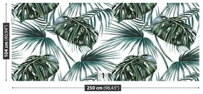 Fototapeta Vliesová Palmové listy 152x104 cm