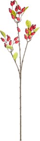 Dekorácia z divokej ruže 70cm red