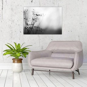 Sklenený obraz - Detail lúčnych kvetov (70x50 cm)