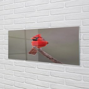 Obraz na akrylátovom skle Red papagáj na vetve 120x60 cm