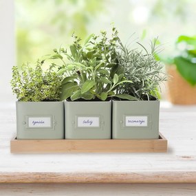 Kovové kvetináče na bylinky v súprave 3 ks Greenish – Orion