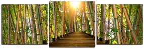 Obraz na plátne - Drevená promenáda v bambusovom lese - panoráma 5172D (150x50 cm)