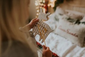 Montessori drevená prepletacia hračka - srnka