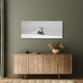 Obraz - Ľadový medveď (120x50 cm)