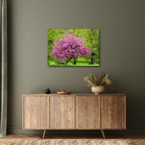 Obraz rozkvitnutého stromu na lúke (70x50 cm)