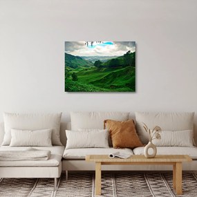 Sklenený obraz - Čajové plantáže v Malajzii (70x50 cm)