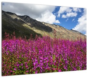 Sklenený obraz scenérie horské lúky (70x50 cm)