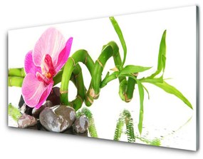 Nástenný panel  Kvet rastlina príroda 125x50 cm