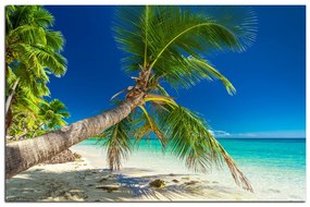 Obraz na plátne - Pláž s palmami  184A (75x50 cm)