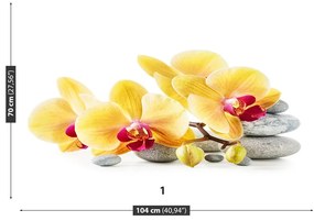 Fototapeta Vliesová Žltá orchidea 416x254 cm