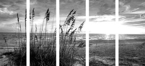 5-dielny obraz západ slnka na pláži v čiernobielom prevedení