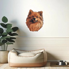 PIPPER. Nálepka Pomeranian Veľkosť: 60 cm