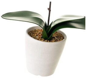 Umelá rastlina (výška 45 cm) Orchid – Casa Selección
