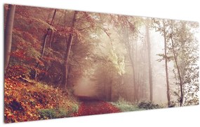 Obraz - Jesenná prechádzka lesom (120x50 cm)