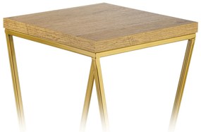 STOJAN NA KVETINÁČ LOFT7 40X24X24 CM ZLATÁ/HNEDÁ